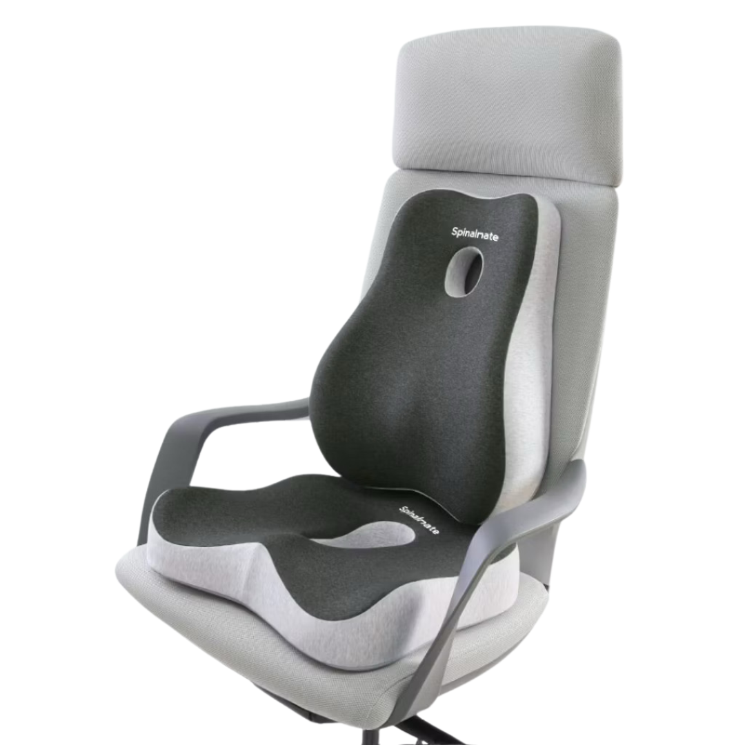 Premiere Ergonomic Spine Support Cushion
