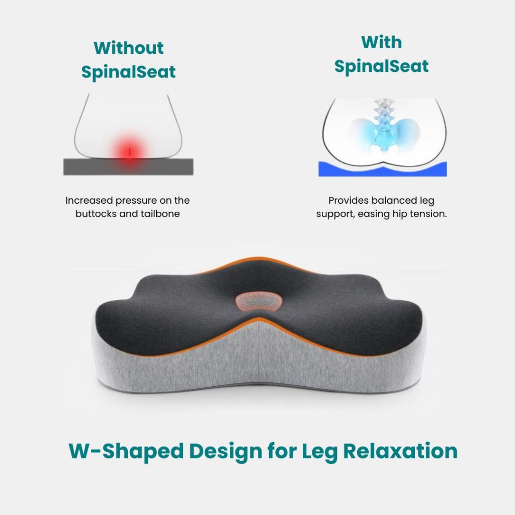Premiere Ergonomic Spine Support Cushion