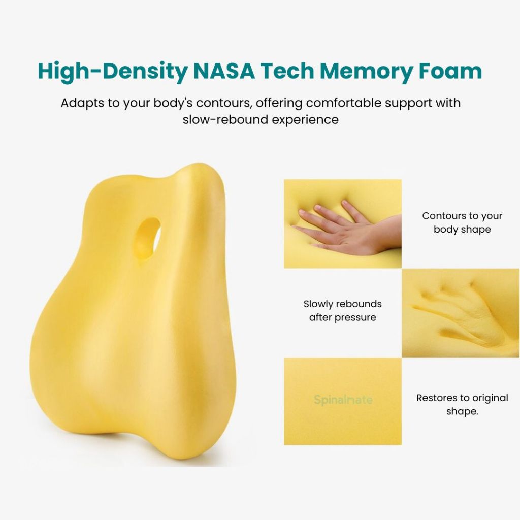 Premiere Ergonomic Spine Support Cushion