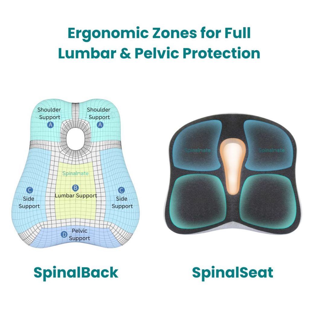 Premiere Ergonomic Spine Support Cushion
