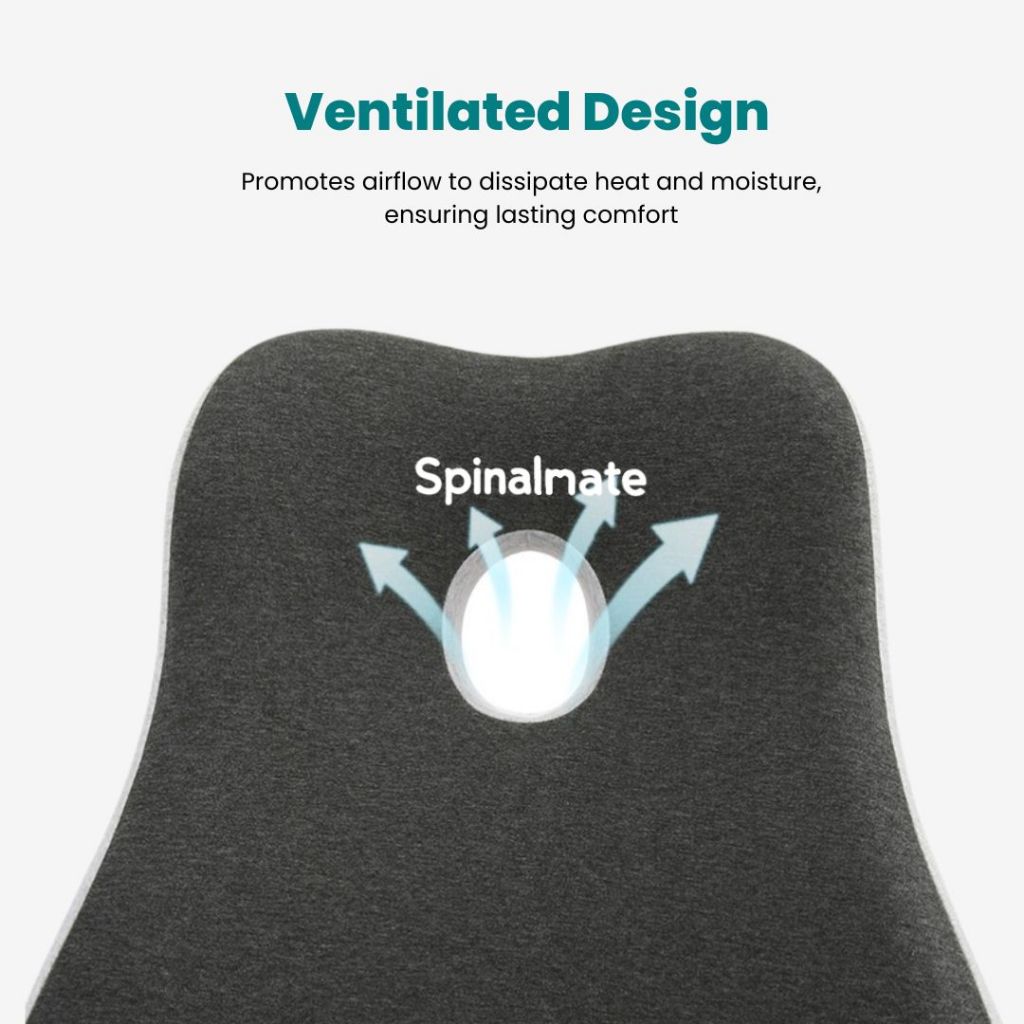 Premiere Ergonomic Spine Support Cushion