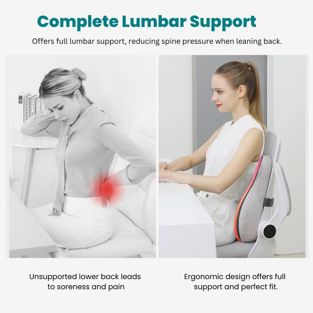 Premiere Ergonomic Spine Support Cushion