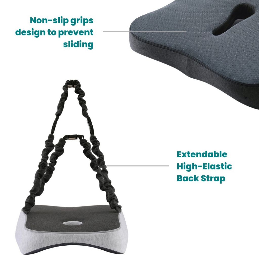 Premiere Ergonomic Spine Support Cushion