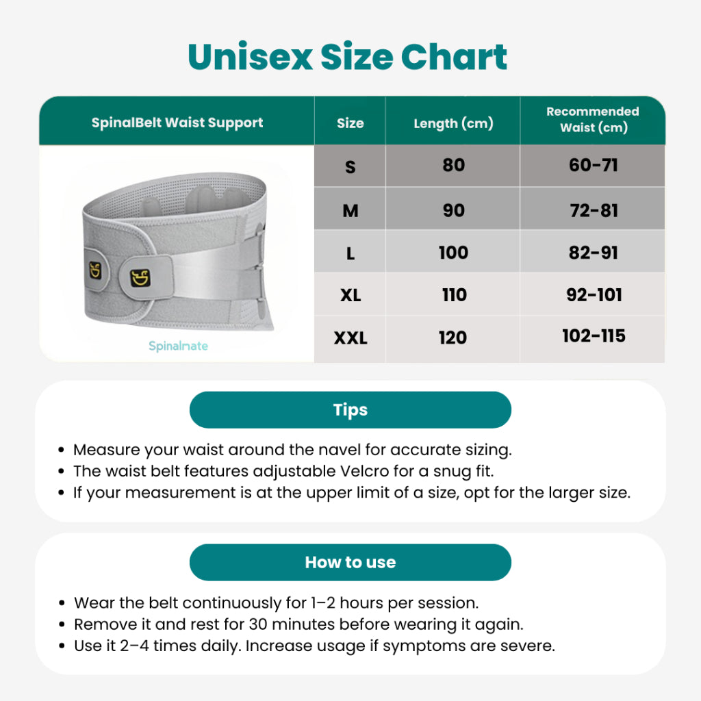 SpinalBelt Lumbar Support Brace