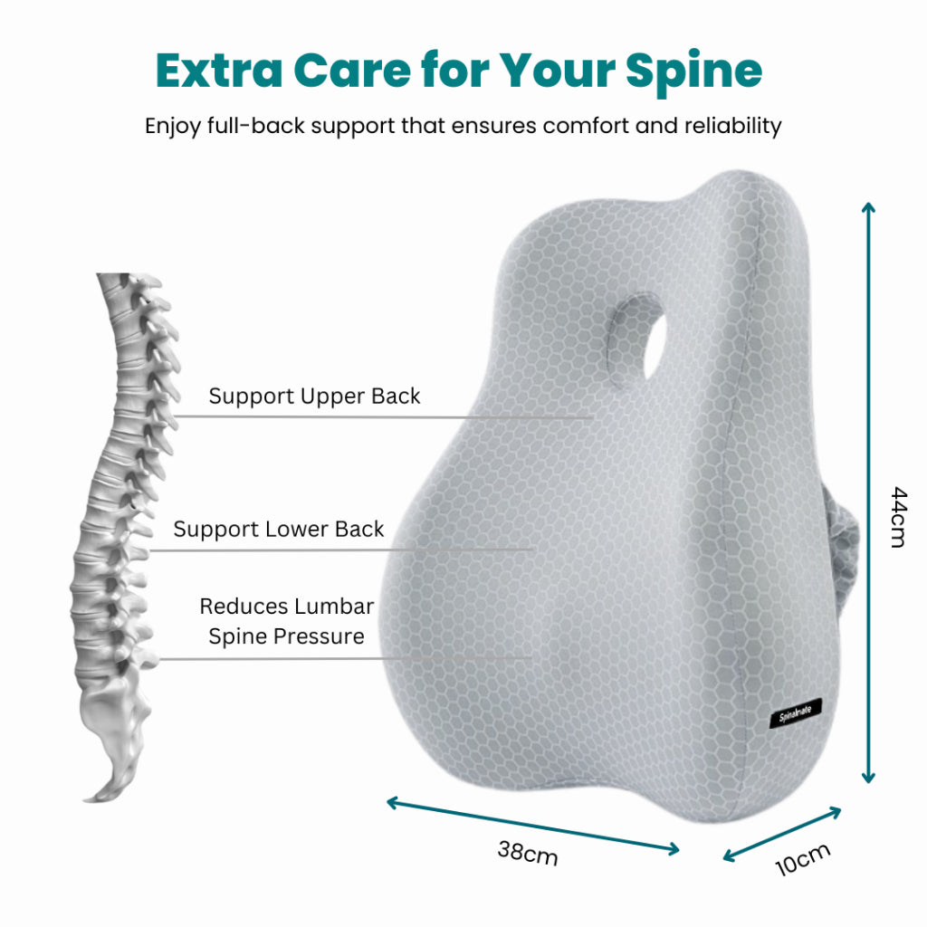 CoolTech Ergonomic Spine Support Cushion