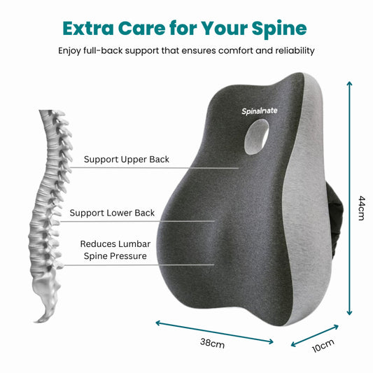 Premiere Ergonomic Spine Support Cushion