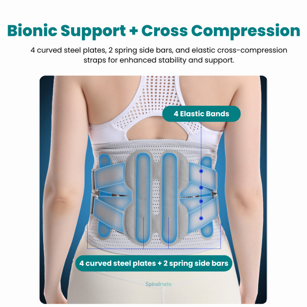 SpinalBelt Lumbar Support Brace