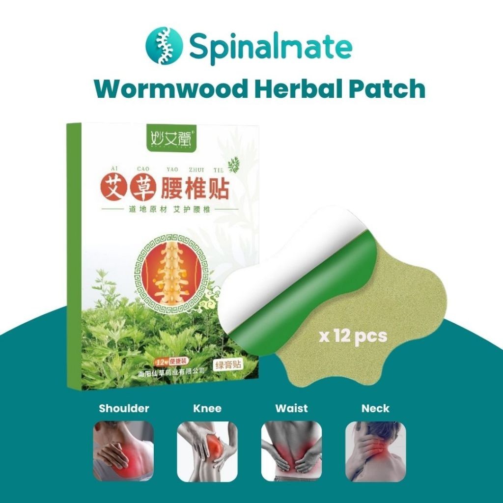 Herbal Wormwood Patch (12pcs)