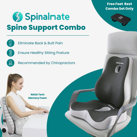 Premiere Ergonomic Spine Support Cushion