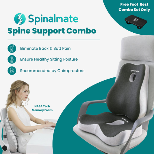 Premiere Ergonomic Spine Support Cushion