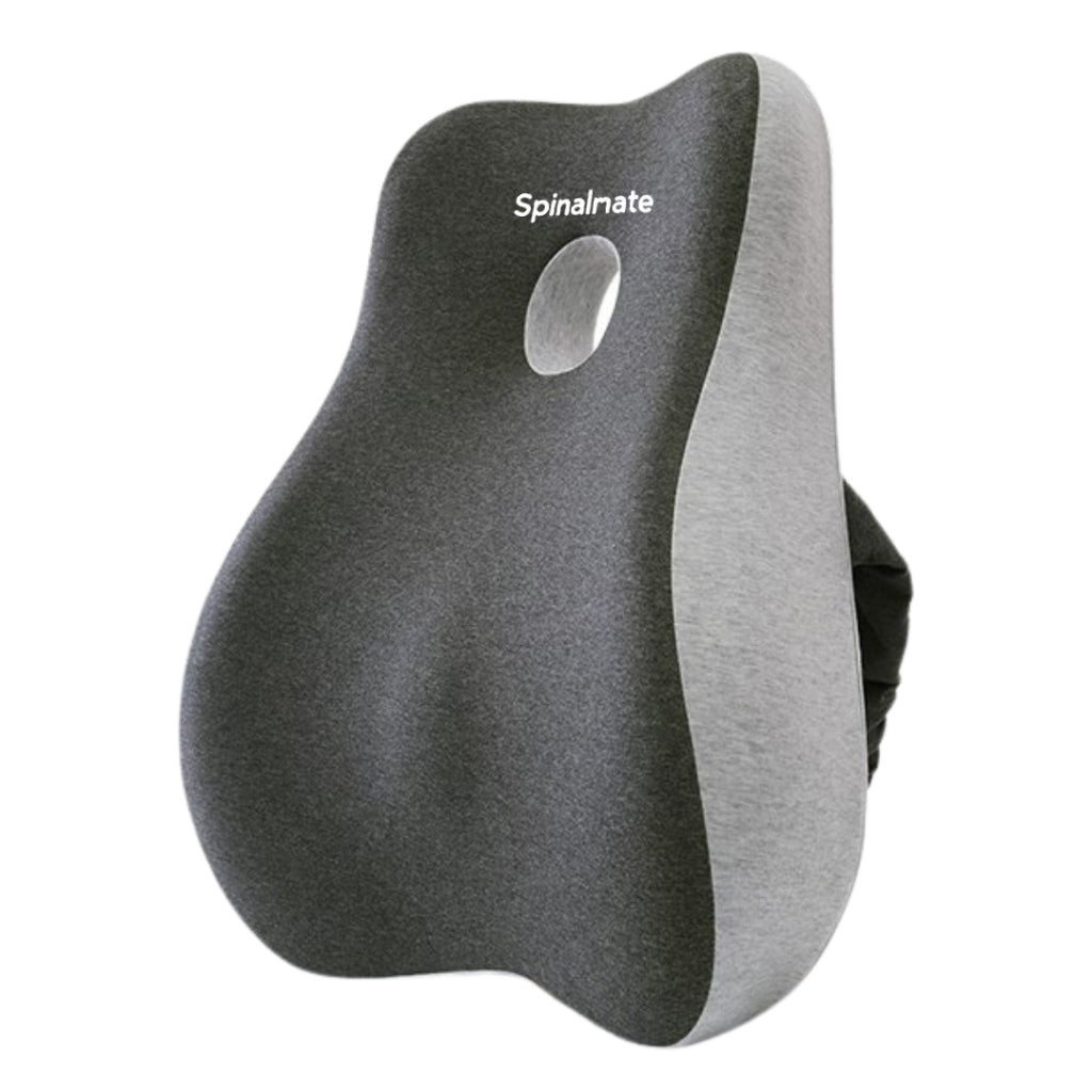 Premiere Ergonomic Spine Support Cushion