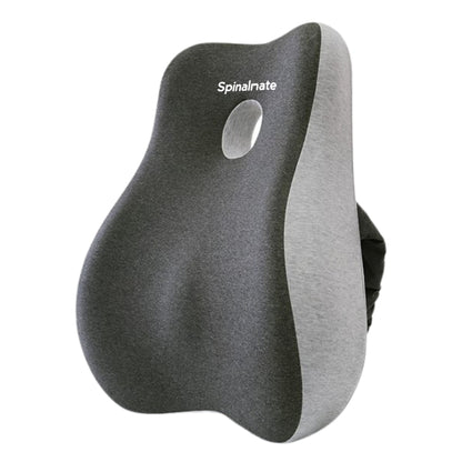 Premiere Ergonomic Spine Support Cushion
