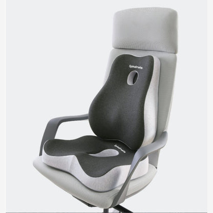 Premiere Ergonomic Spine Support Cushion