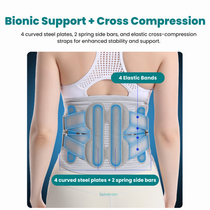 SpinalBelt Lumbar Support Brace