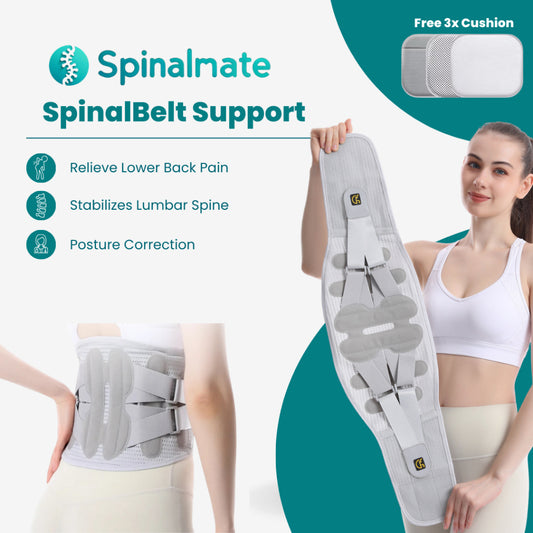 SpinalBelt Lumbar Support Brace