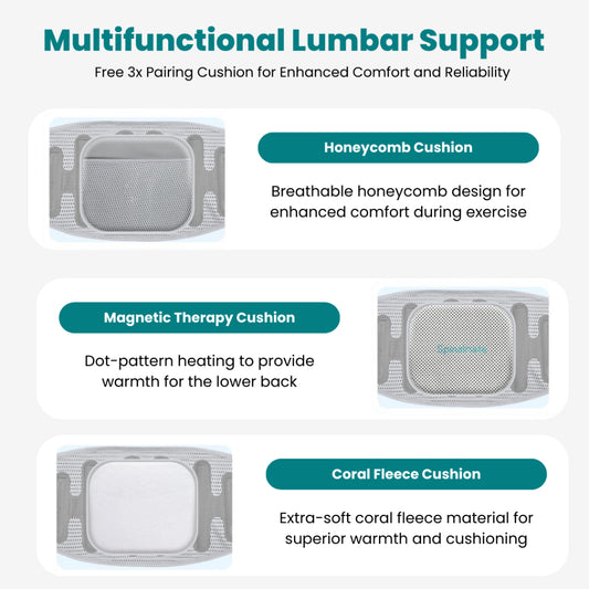 SpinalBelt Lumbar Support Brace