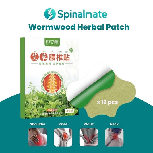 Herbal Wormwood Patch (12pcs)